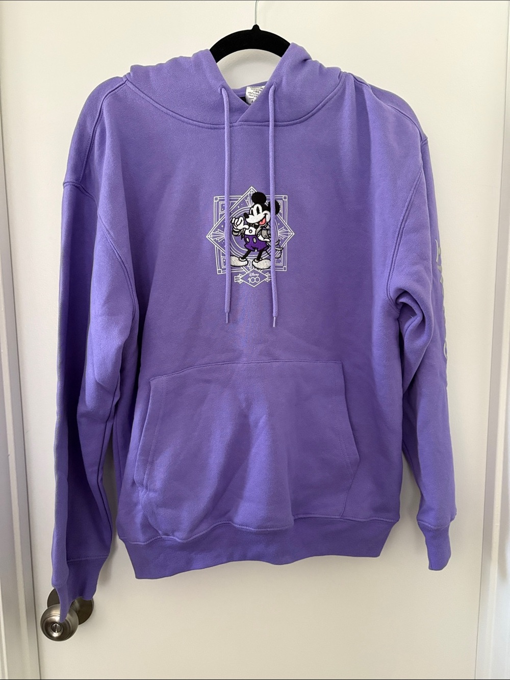 D100 Disneyland Purple Hoodie